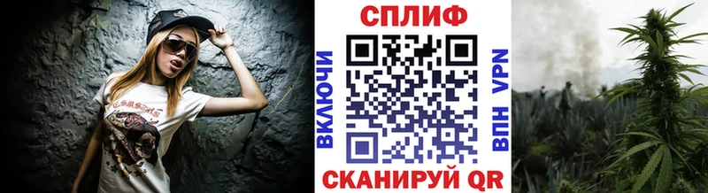 как найти закладки  Цимлянск  Шишки марихуана White Widow 
